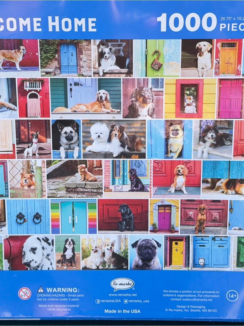 Welcome Home 1000-Piece Jigsaw Puzzle - Colorful Doors & Dogs